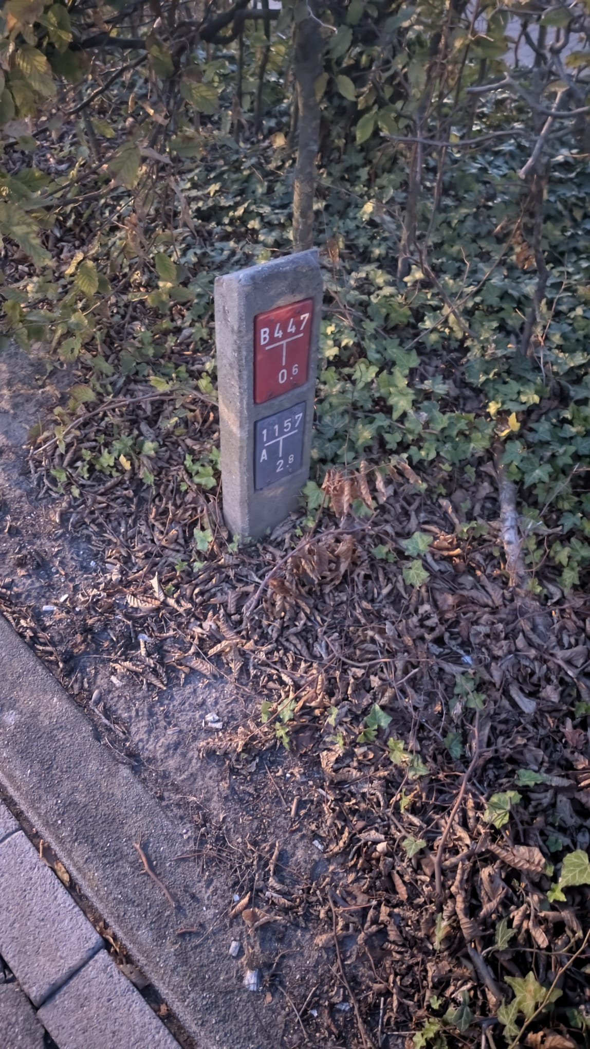 file-20261002112214416.png